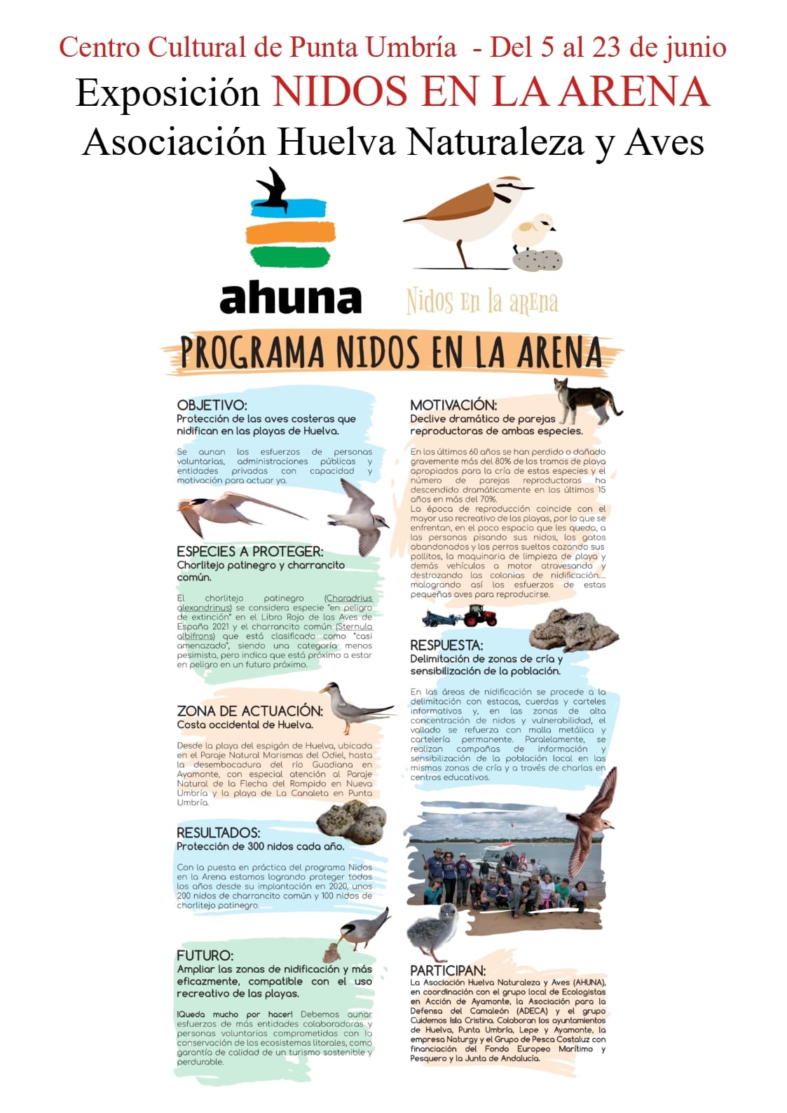 Una exposición muestra en Punta Umbría la importancia de respetar los nidos de aves en las playas