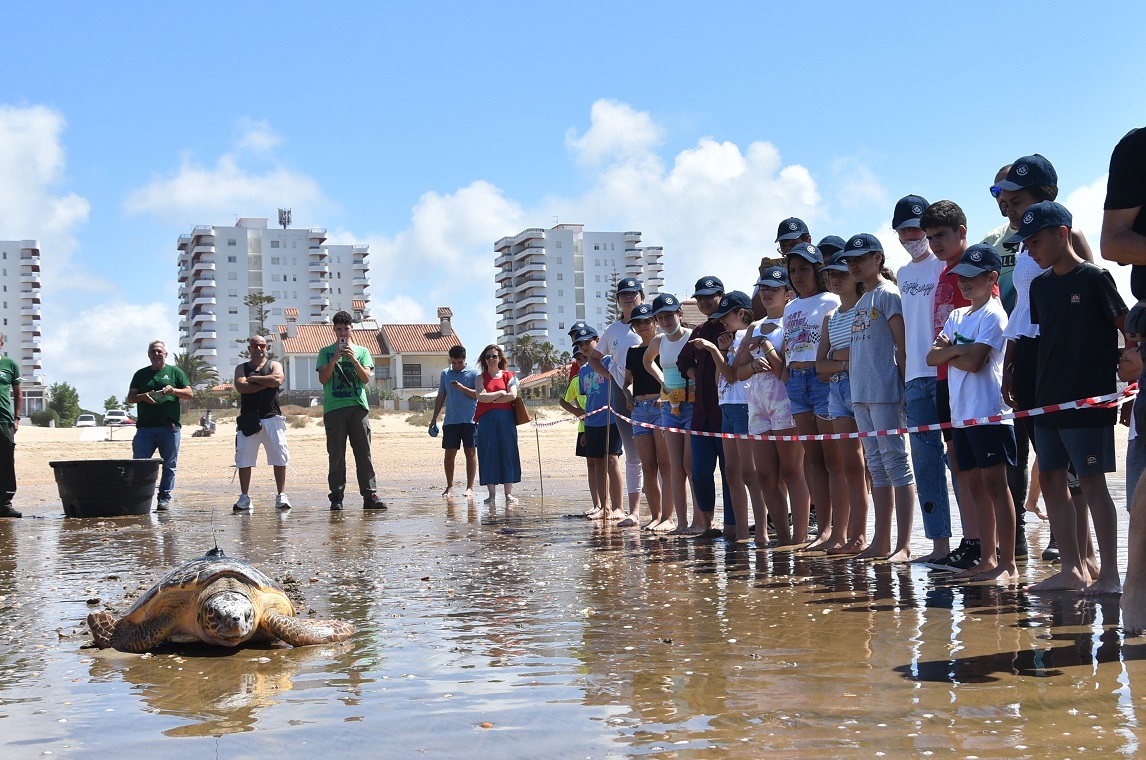 Escolares puntaumbrieños asisten a la suelta de una tortuga en la playa