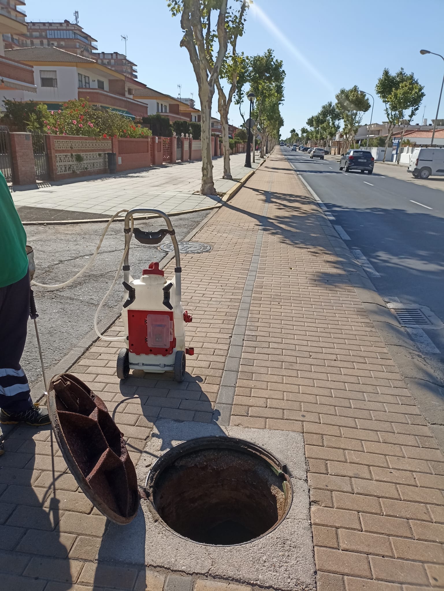 El Ayuntamiento pone en marcha un nuevo plan de choque contra cucarachas en Punta Umbría y El Portil